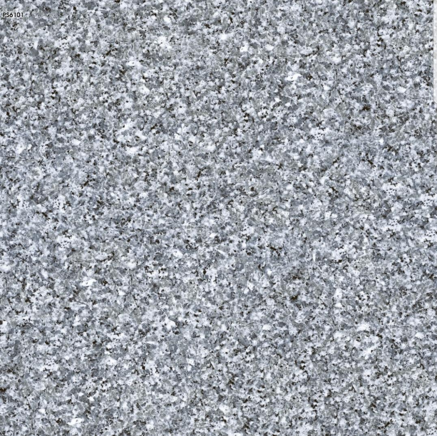 PAK PS 6101